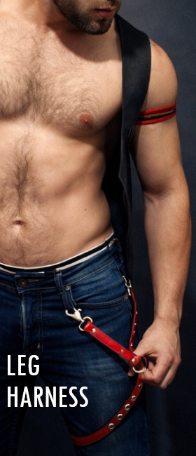 Leg Harness