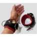 LOCKABLE WRIST RESTRAINTS