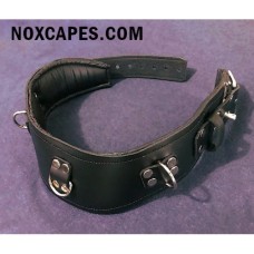 CUSHIONED LOCKING POSTURE COLLAR