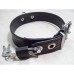 PUPPY COLLAR WITH PADLOCK
