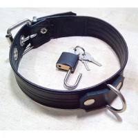 PUPPY COLLAR WITH PADLOCK