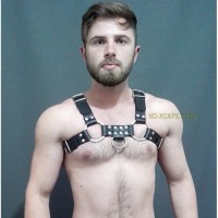 BULLDOG HARNESS BASIC