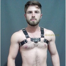 BULLDOG HARNESS BASIC