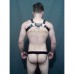 BULLDOG HARNESS BASIC