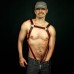 COLORS HARNESS WITH STRAPS ATTACHED TO A COCK RING