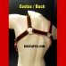 COLORS HARNESS WITH STRAPS ATTACHED TO A COCK RING