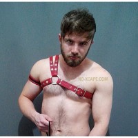 PARTY HARNESS - red